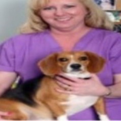 Where To Take Your Pet For Veterinary Services In Johns Creek