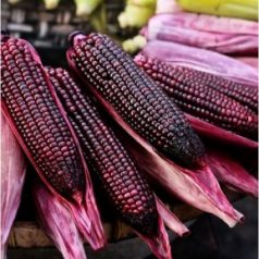 Exploring the Different Kinds of Purple Corn Benefits