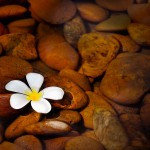 Getting a Hot Stone Massage in Virginia