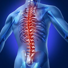 Pain in the Spine Is a Big Deal and Here’s What You Should Know About It