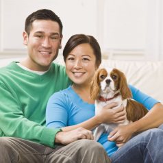 How To Find A Great Veterinarian For Your Pet