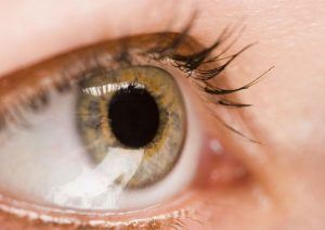 Facing vision challenges? Learn about macular degeneration in Boca Raton