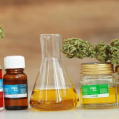 Reasons to Use a Natural Product from North Richland Hills for Your Health