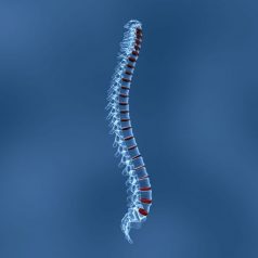 How to Prevent Spinal Pain During Your Physical Therapy Sessions