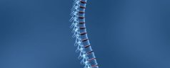 How to Prevent Spinal Pain During Your Physical Therapy Sessions