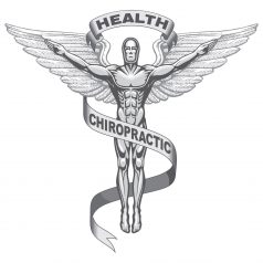 Chiropractic Therapy In Auburn WA Can Improve Your Mobility And Stop Pain
