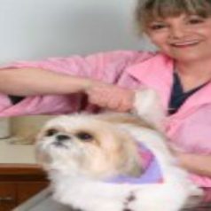3 Reasons to Choose an Animal Hospital in Alpharetta for Pet Care