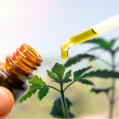 3 Major Reasons Why Many People Find CBD Oil Consumption Beneficial